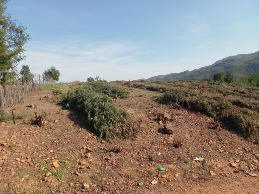 0 Bedroom Property for Sale in Haarlem Western Cape